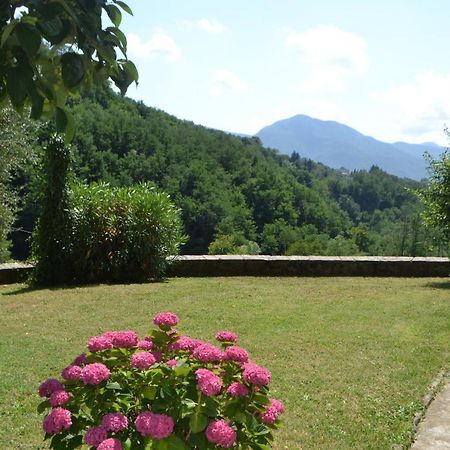 La Limonaia Di Casagrande Villa Barga Luaran gambar