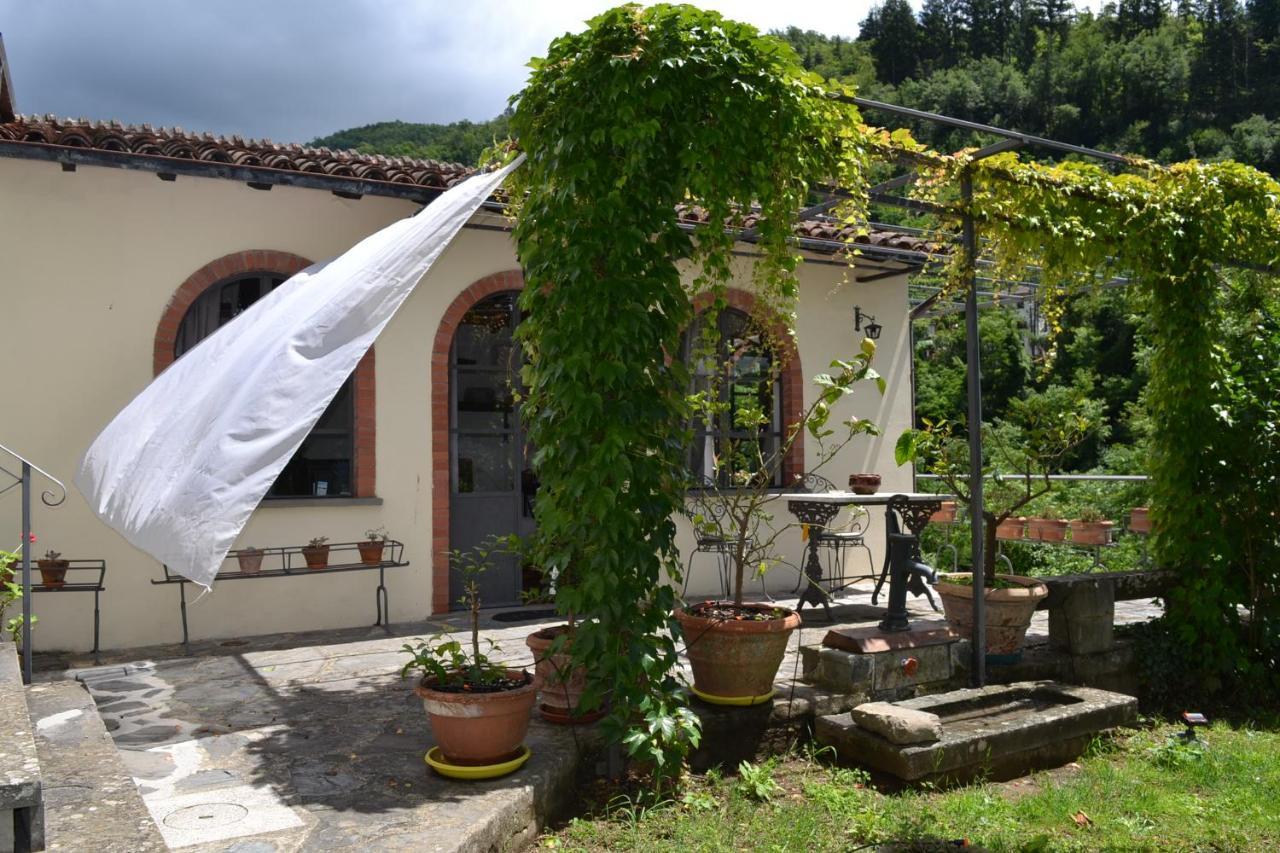 La Limonaia Di Casagrande Villa Barga Luaran gambar