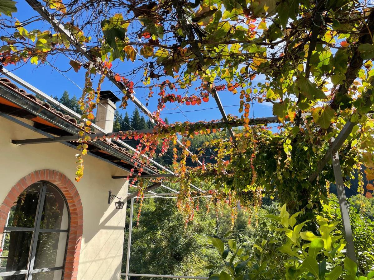 La Limonaia Di Casagrande Villa Barga Luaran gambar