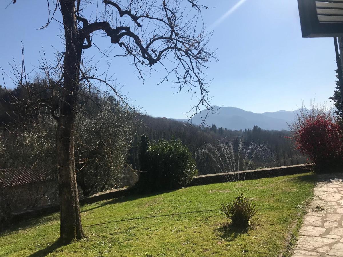 La Limonaia Di Casagrande Villa Barga Luaran gambar