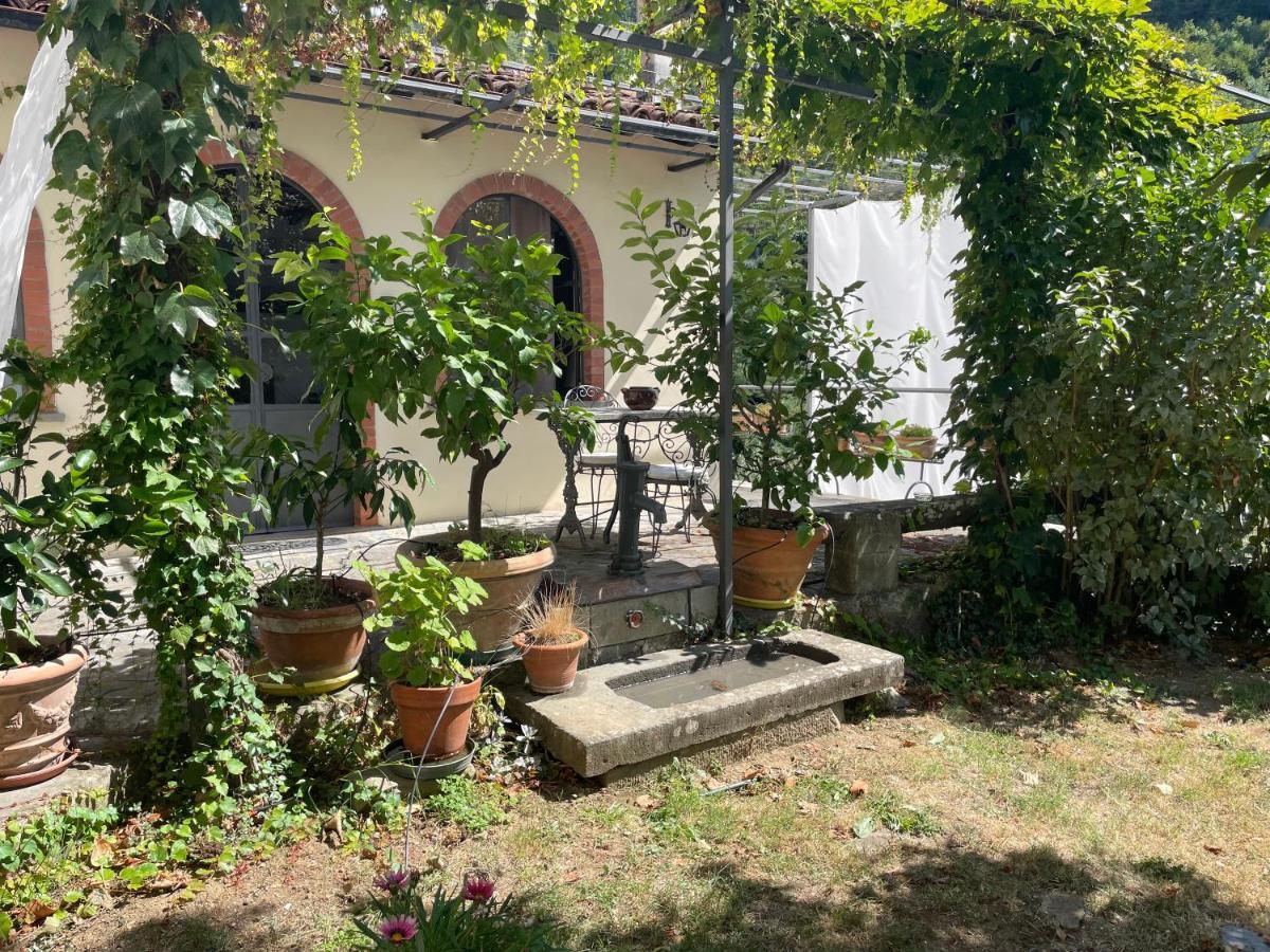 La Limonaia Di Casagrande Villa Barga Luaran gambar