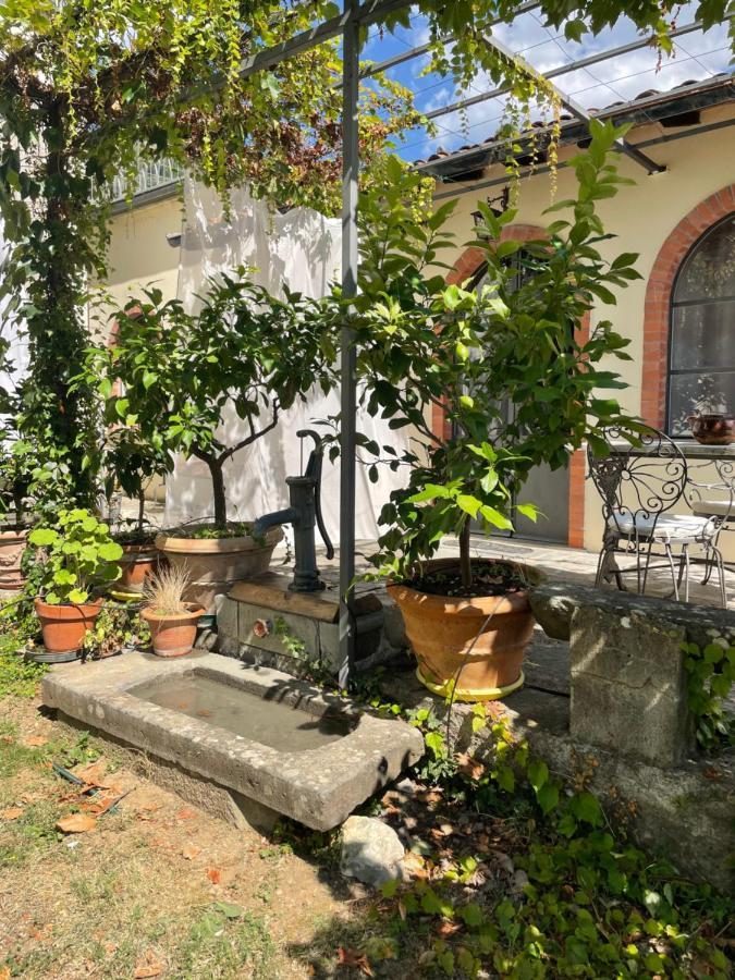 La Limonaia Di Casagrande Villa Barga Luaran gambar