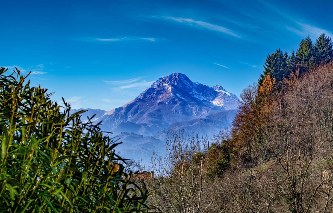 La Limonaia Di Casagrande Villa Barga Luaran gambar