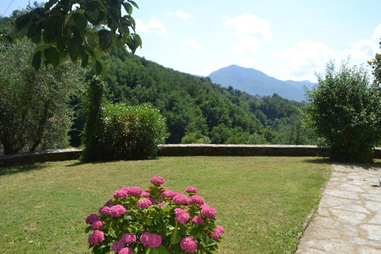 La Limonaia Di Casagrande Villa Barga Luaran gambar